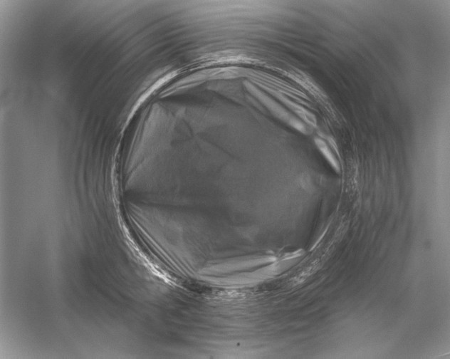 X0000056020806200509092137