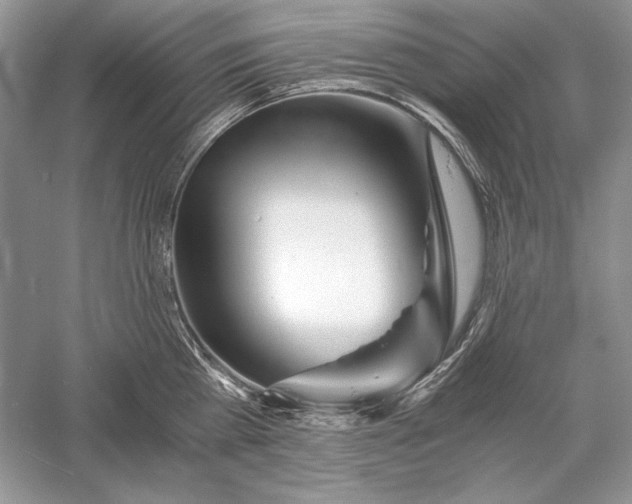X0000056020809200509092137