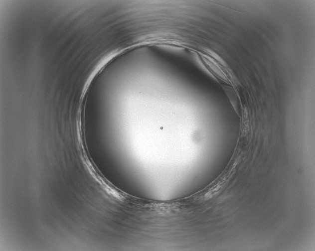 X0000056020812200509092137