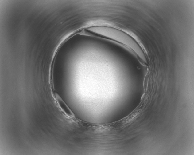 X0000056020815200509092137