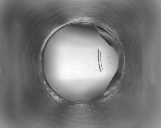X0000056020816200509092137