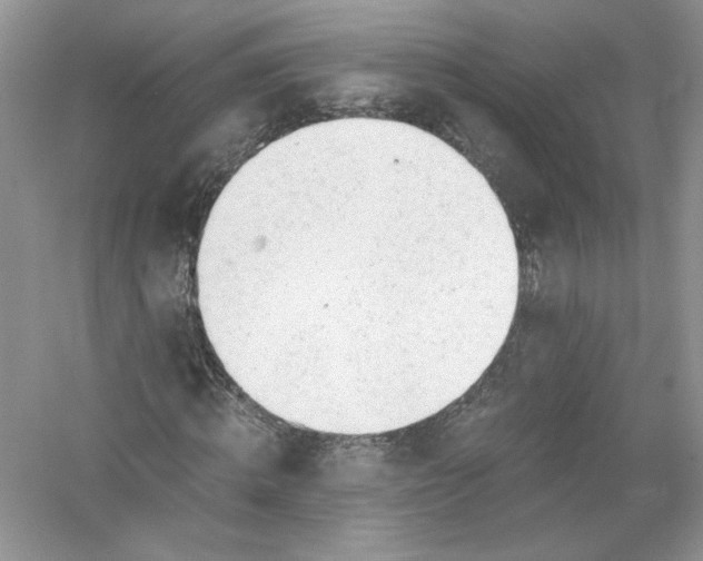 X0000056020820200509092136