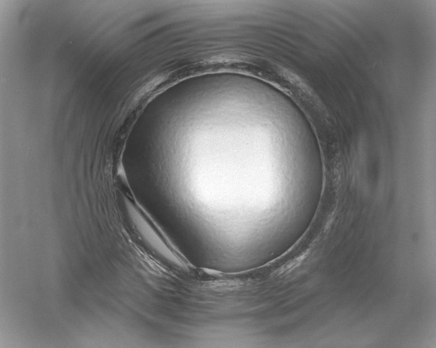 X0000056020825200509092136
