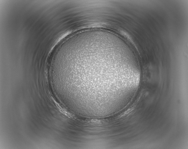 X0000056020827200509092136