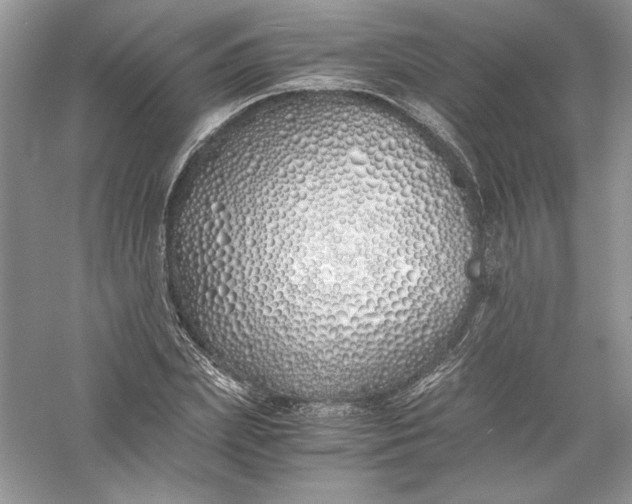 X0000056020831200509092137