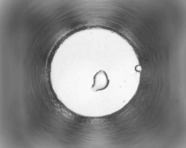X0000056020832200509092137
