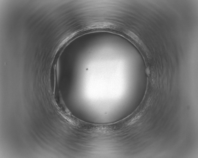 X0000056020834200509092137