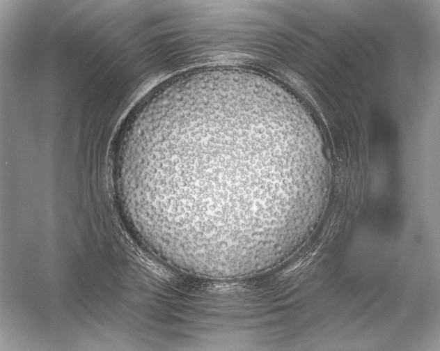 X0000056020835200509092137