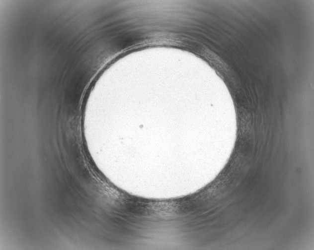 X0000056020836200509092137