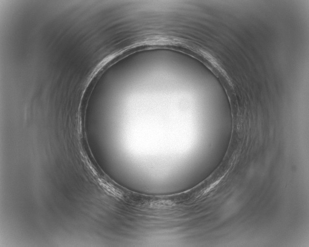 X0000056020837200509092137