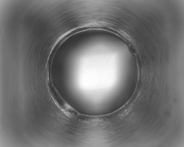 X0000056020838200509092137