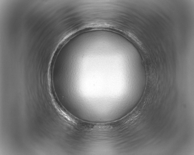 X0000056020840200509092137