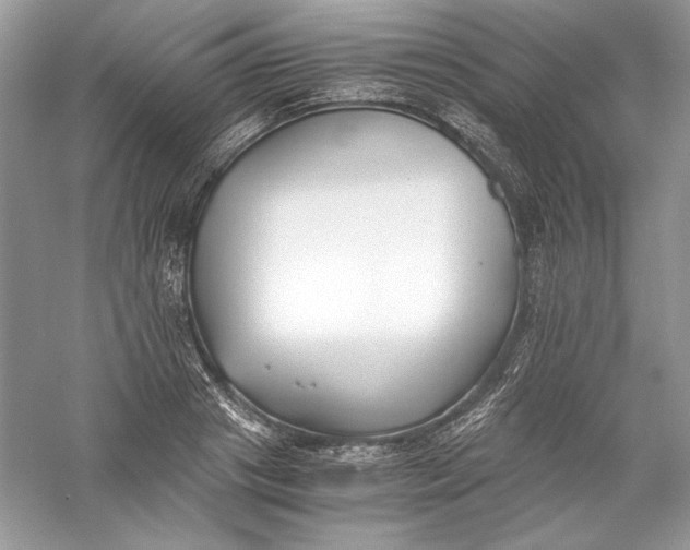 X0000056020841200509092137