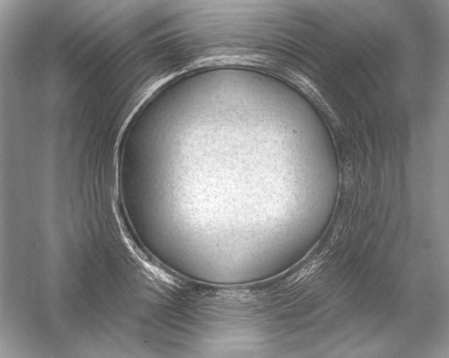 X0000056020844200509092137