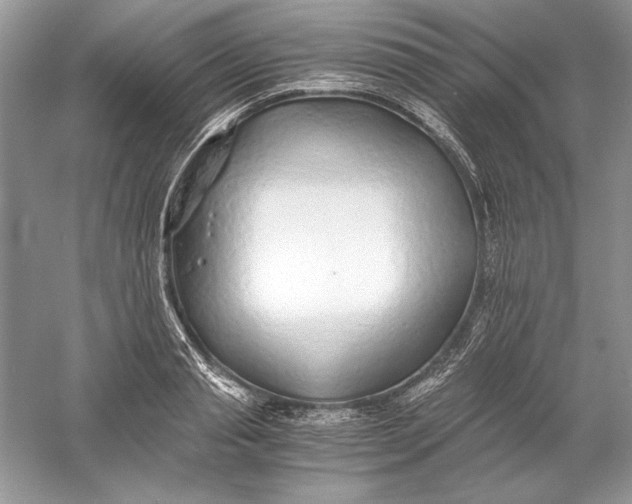 X0000056020845200509092137