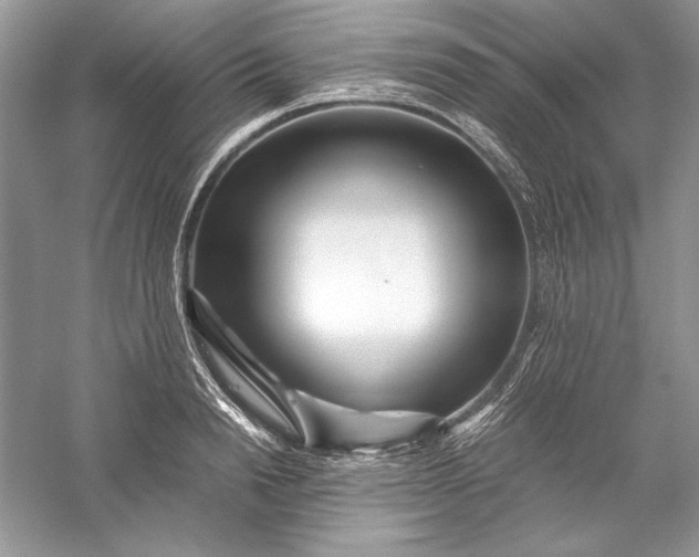 X0000056020846200509092137