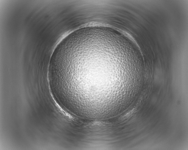 X0000056020847200509092137