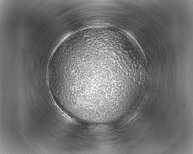 X0000056020851200509092137