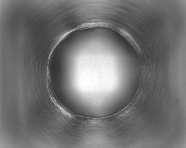 X0000056020852200509092137