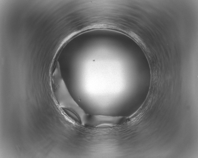 X0000056020854200509092137