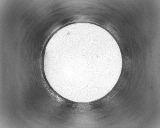X0000056020856200509092137