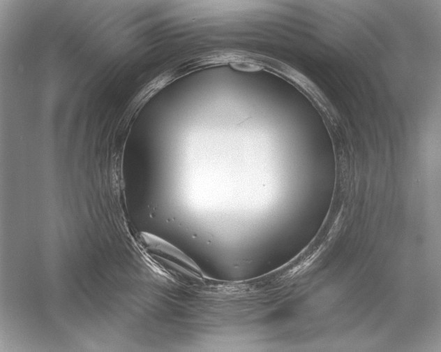 X0000056020857200509092137