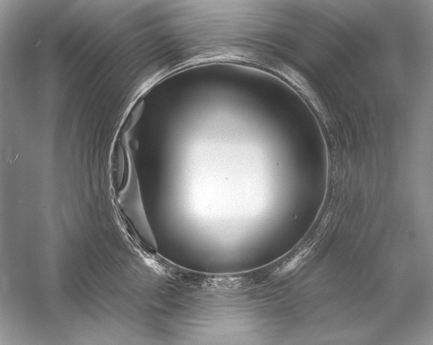 X0000056020858200509092137
