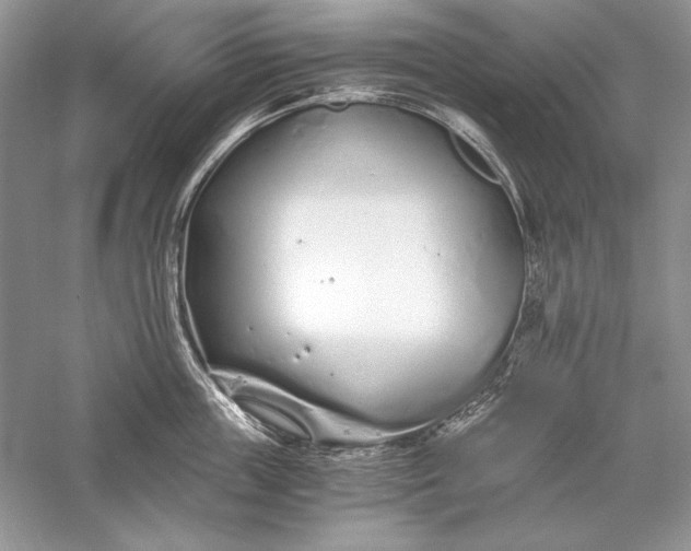 X0000056020859200509092137