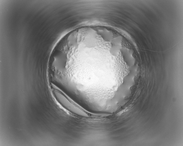 X0000056020863200509092137