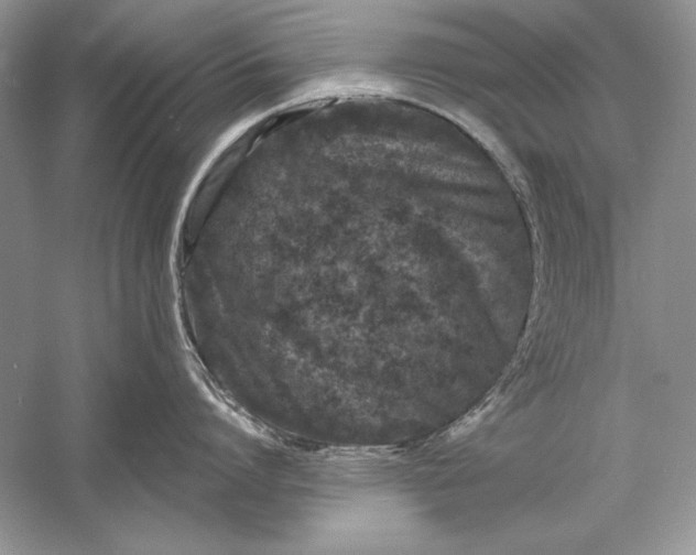 X0000056020864200509092137