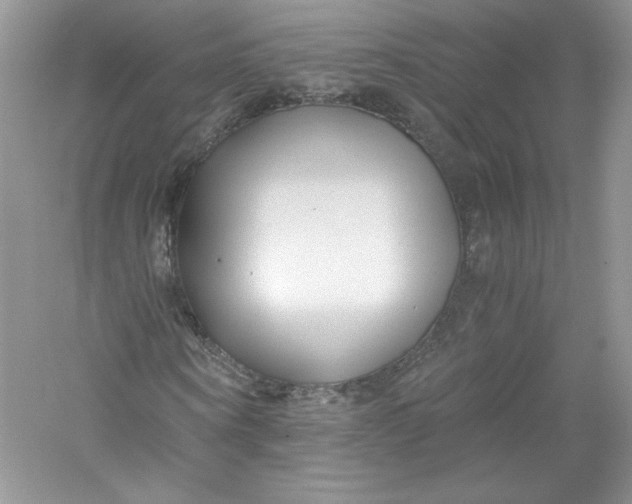 X0000056020866200509092136