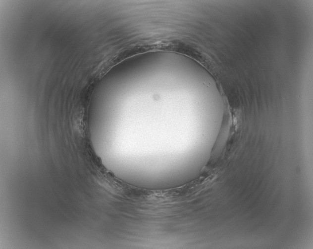 X0000056020867200509092136