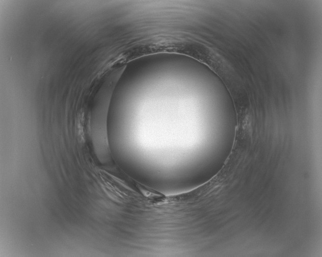 X0000056020868200509092136