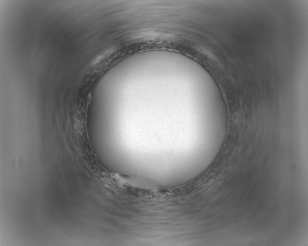 X0000056020869200509092136