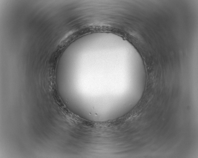 X0000056020870200509092136