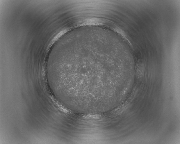 X0000056020874200509092136
