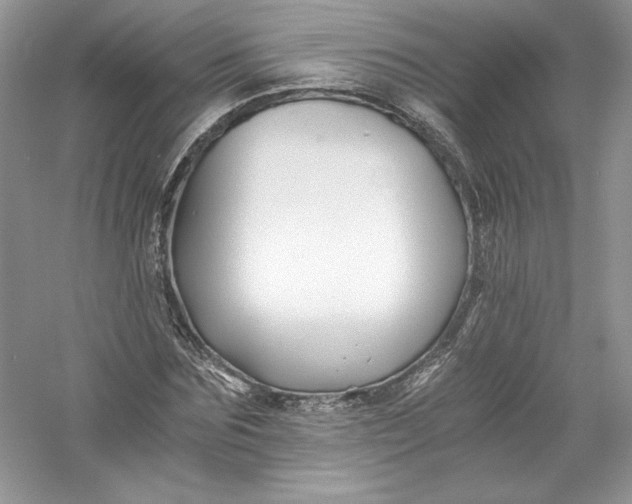X0000056020875200509092136