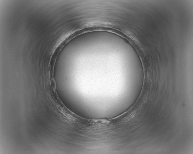 X0000056020877200509092136