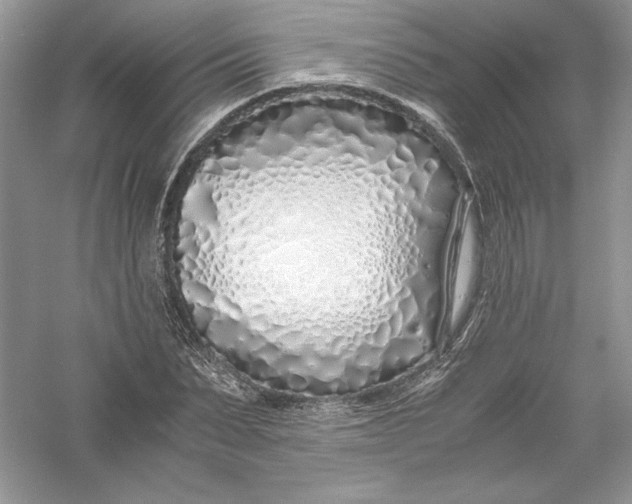 X0000056020879200509092136