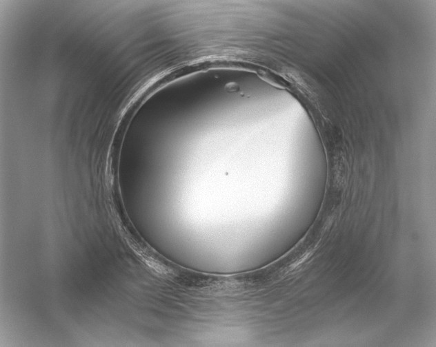 X0000056020885200509092136