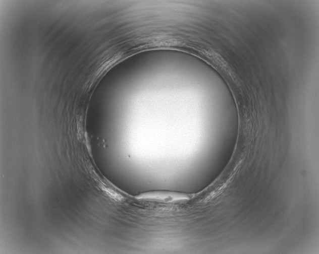 X0000056020889200509092136