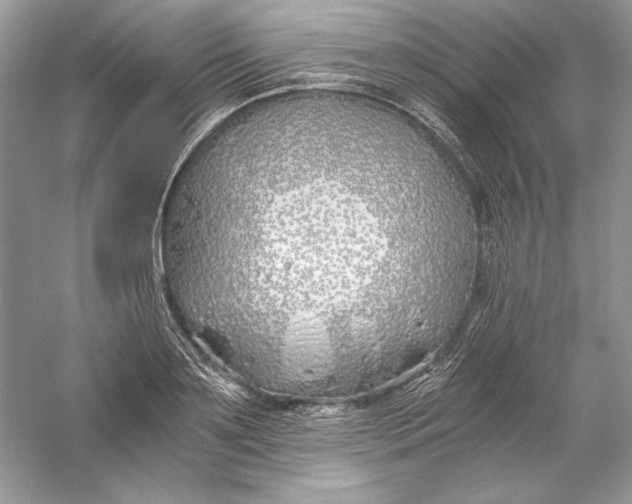 X0000056020891200509092136