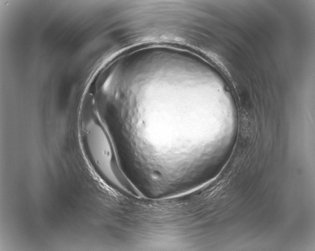 X0000056020895200509092136