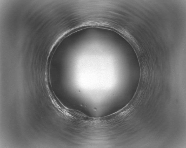 X0000056020896200509092136