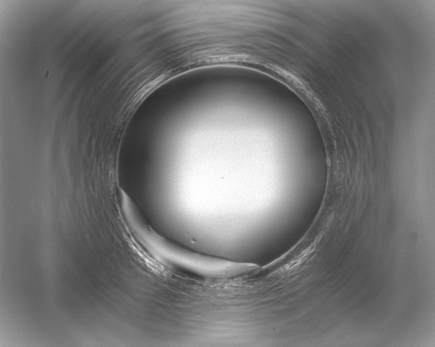 X0000056020897200509092136