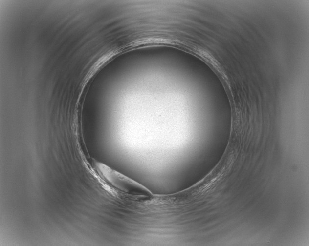 X0000056020898200509092136