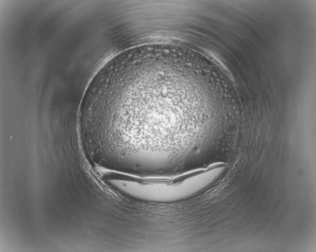 X0000056020899200509092136
