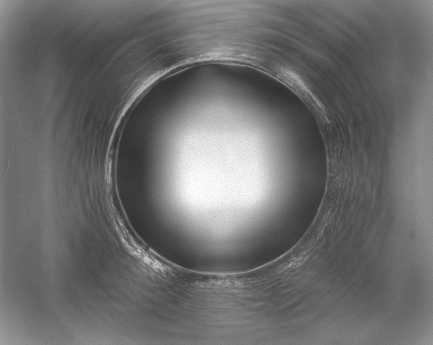 X0000056020900200509092136
