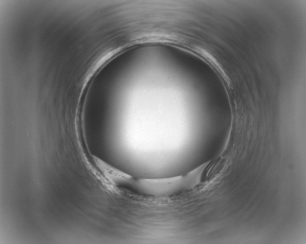 X0000056020901200509092136