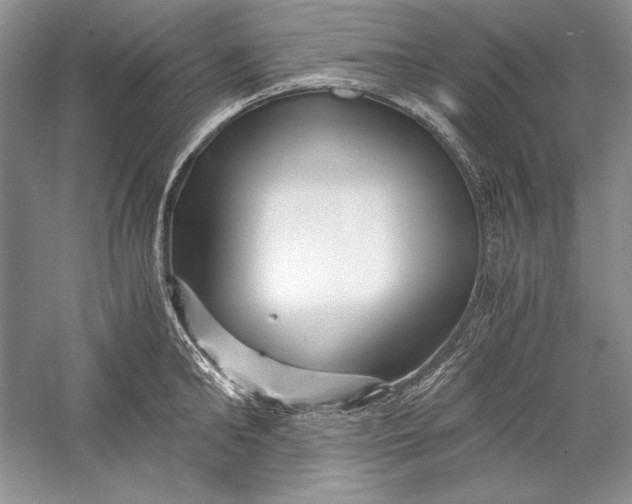 X0000056020902200509092136